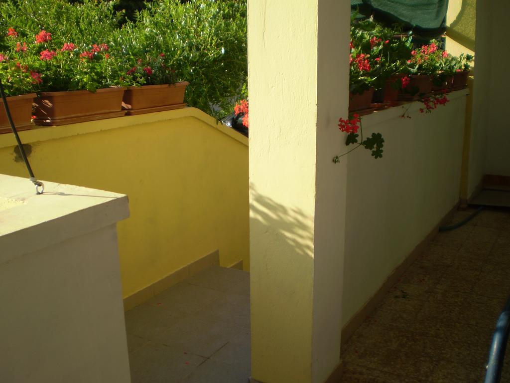 Apartments Kocijan Sukosan Luaran gambar